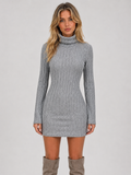 Women's Knit Mini Dress with ribbed roll neck long sleeve.